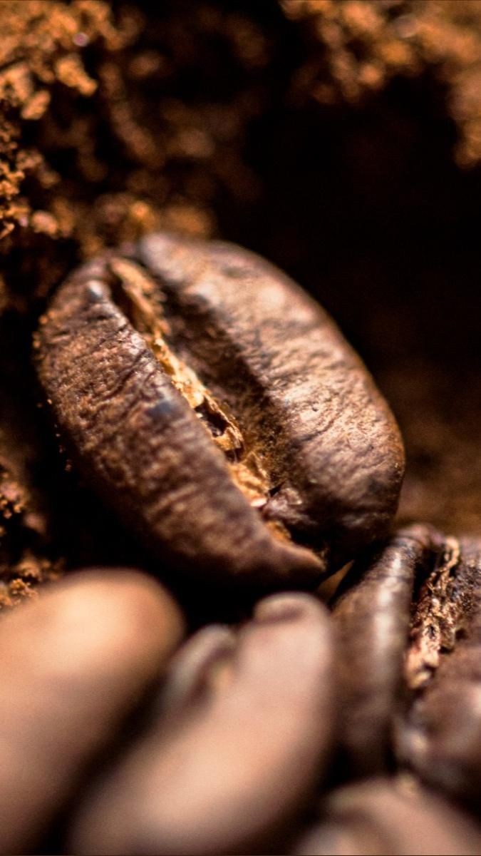 Café Caturra Chirroso